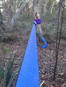 Emma Wise Balance (detail, tightrope) 2014