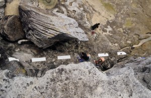 Emma Wise Cut to Fit (detail, top shot) 2006