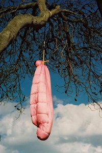 Emma Wise, Growth 2010 (detail, 1 bag) 2010