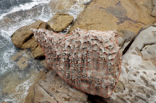 Emma Wise Security (top shot) 2005