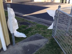 Border Politics 2018 breakthrough